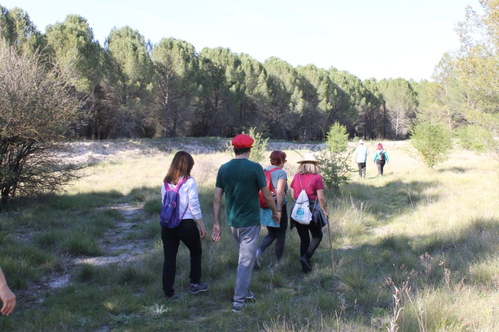 PASEOS NATURALEZA