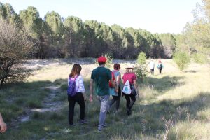 PASEOS NATURALEZA